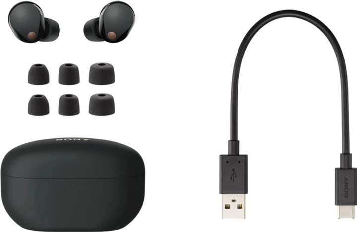 Наушники Sony WF-1000XM5 Platinum Silver (WF1000XM5S.CE7) - изображение 13