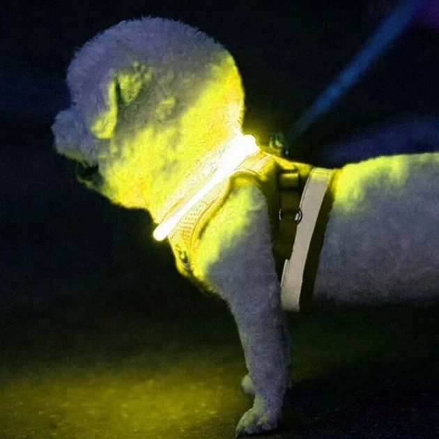 Світлодіодний нашийник для собак і котів Purlov 24200, LED нашийник з USB зарядкою та регульованою довжиною