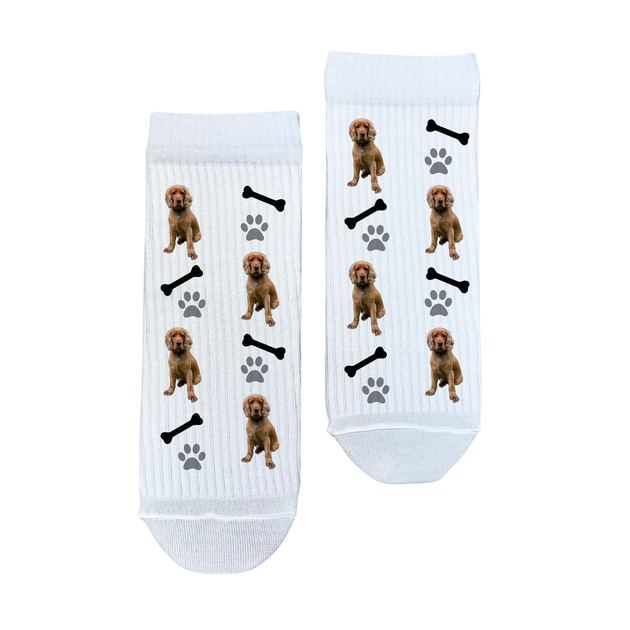 Шкарпетки Ponty Shop з фото "З твоєю собачкою" Дитячі розмір 12-22 Білі - Фото 1 Шкарпетки Ponty Shop з фото "З твоєю собачкою" Дитячі розмір 12-22 Білі - изображение 1