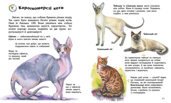 Енциклопедія дошкільника. Коти С614039У 9786170992741 - изображение 2