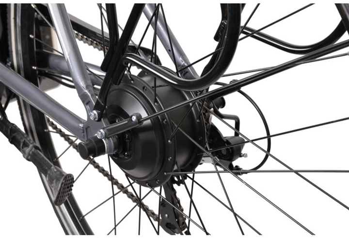 Rower elektryczny Denver ORUS E8600 E-Motive Grey (RD28E0766XI216.24086) - obraz 9