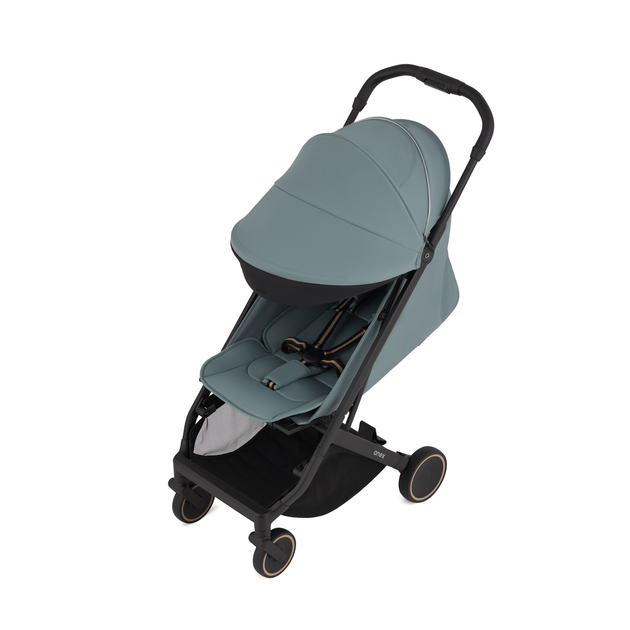 Прогулочная коляска Anex Air-X2 Sky (Ax2-05) - изображение 9