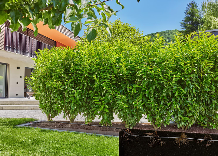 Набір для крапельного поливу Gardena Micro Drip System 25 м (13500-20) - зображення 4