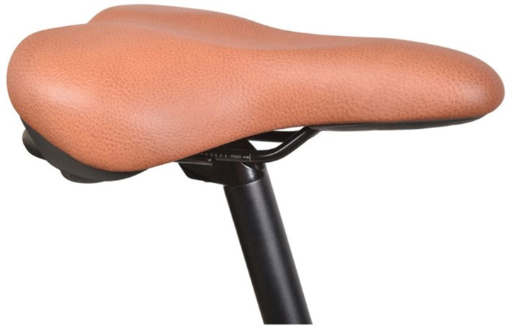 Rower elektryczny R.EVOLUTION 28 URBAN 600 (RD28E0766UP101.24312) - obraz 9