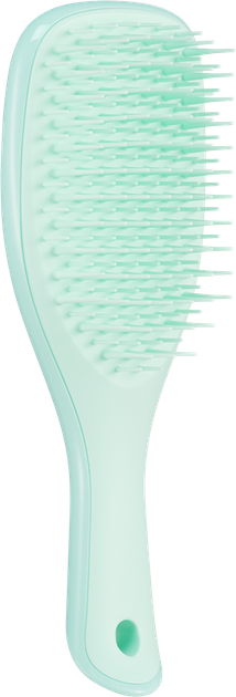 Мини-щетка для волос Tangle Teezer The Ultimate Detangler Mini Fine & Fragile Jade Lagoon (5060926685090) - Фото 1 Мини-щетка для волос Tangle Teezer The Ultimate Detangler Mini Fine & Fragile Jade Lagoon (5060926685090) - изображение 1