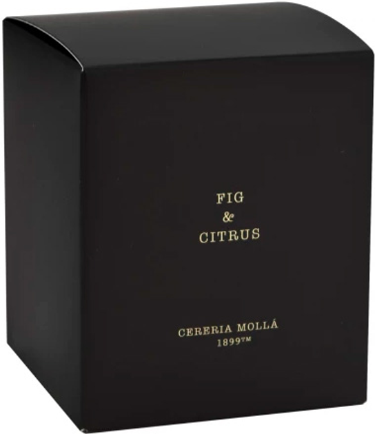 Świeca zapachowa Cereria Molla Premium Fig & Citrus 230 g (8424405055472) - obraz 3