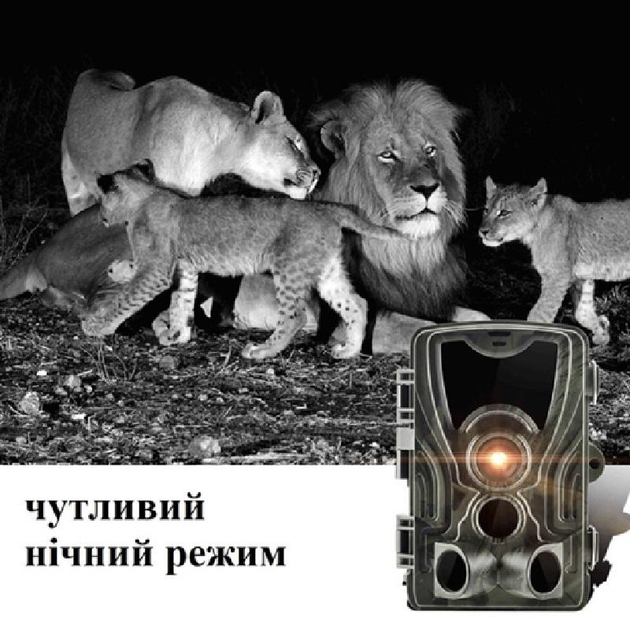 Фотоловушка Suntek Wi-Fi 801 PRO версия 36МП 4К до 256Gb с Bluetooth и удаленным управлением через приложение на смартфон - изображение 9