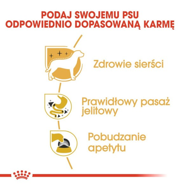 Opakowanie mokrej karmy dla psów Royal Canin Chihuahua 12 szt x 85 g (9003579001509) - obraz 4