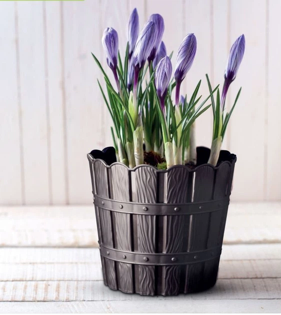 Горщик для квітів VIOLET HOUSE 1046 Bamboo MIX (3л) - Фото 1 Горщик для квітів VIOLET HOUSE 1046 Bamboo MIX (3л) - зображення 1