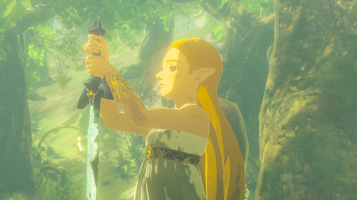 Gra Nintendo Switch 2 The Legend of Zelda: Breath of the Wild (kartridż) (0045496312664) - obraz 8