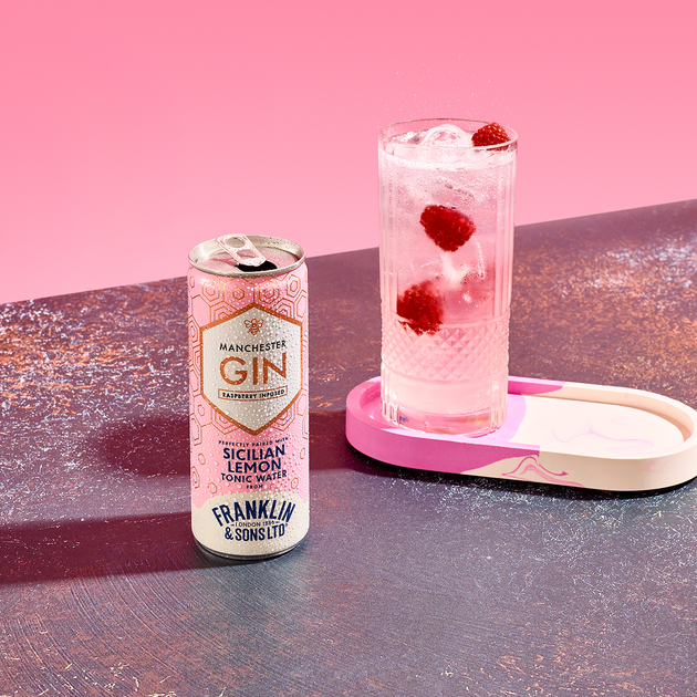 Напиток слабоалкогольный газированный Franklin & Sons Manchester Pink Gin & Sicilian Lemon Tonic 5.5% 0.25 л (5032678006836) - изображение 2