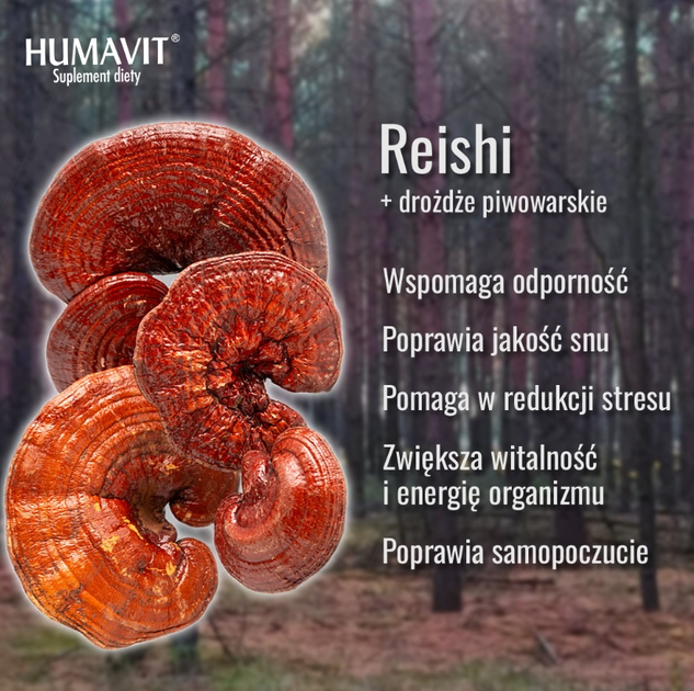 Дієтична добавка Humavit Рейші (Ganoderma lucidum) + Пивні дріжджі 150 таблеток (5903129301230) - зображення 3