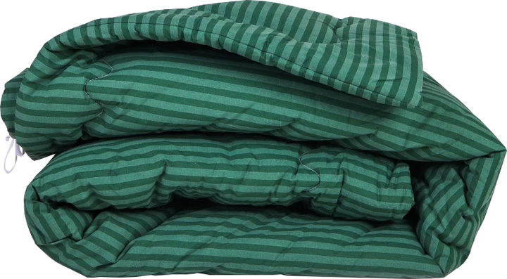 Набір MirSon №132 Сolor Fun Line 17-0612 Stripe Emerald Ковдра Зимова Полуторна 155х215 Bamboo + Дві наволочки 50х70 від Rozetka на платформі USKIDKA Акція на Набір MirSon №132 Сolor Fun Line 17-0612 Stripe Emerald Ковдра Зимова Полуторна 155х215 Bamboo + Дві наволочки 50х70 від Rozetka