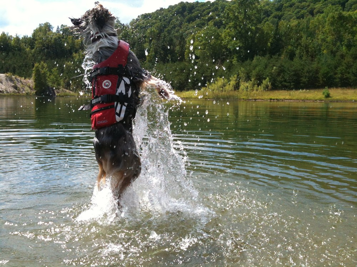 Kamizelka ratunkowa dla psa EzyDog S 33-40 cm 9-20 kg Czerwona (5708214984042) - obraz 3