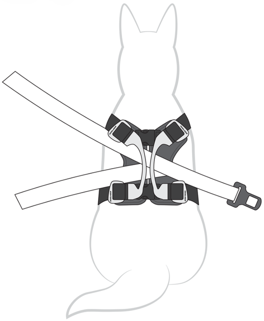Шлея для собак EzyDog Drive Harness S 28-64 см Black (9346036003341) - зображення 4