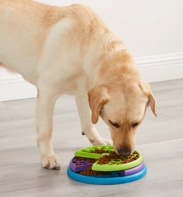 Миска для собак Outward Hound Lickin Layer (0700603706469) - зображення 5