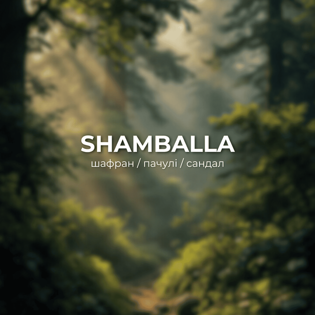 Аромат ARDEMA SHAMBALLA 50 мл (182653) - изображение 2