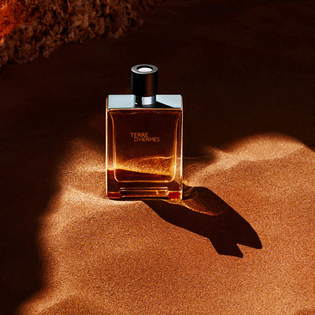 Woda perfumowana męska Hermes Terre D'Hermes 75 ml (3346130424703) - obraz 3