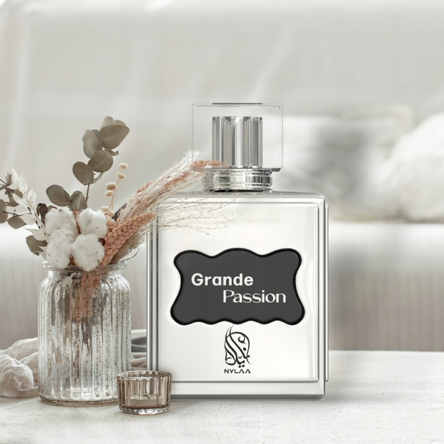 Парфумована вода для чоловіків Nylaa Grande Passion 100 мл (6290360830483) - зображення 3