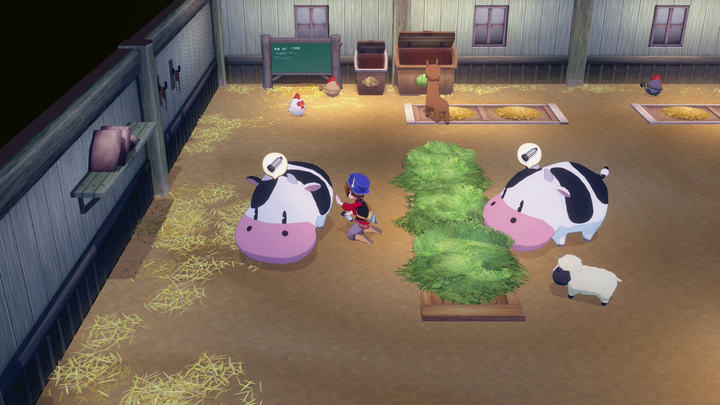 Gra Nintendo Switch Story of Seasons Grand Bazaar (Kartridż) (5060540772824) - obraz 4