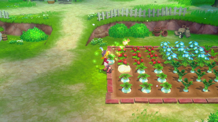 Gra Nintendo Switch 2 Story of Seasons Grand Bazaar Limited Edition (Kartridż) (5060540773227) - obraz 8