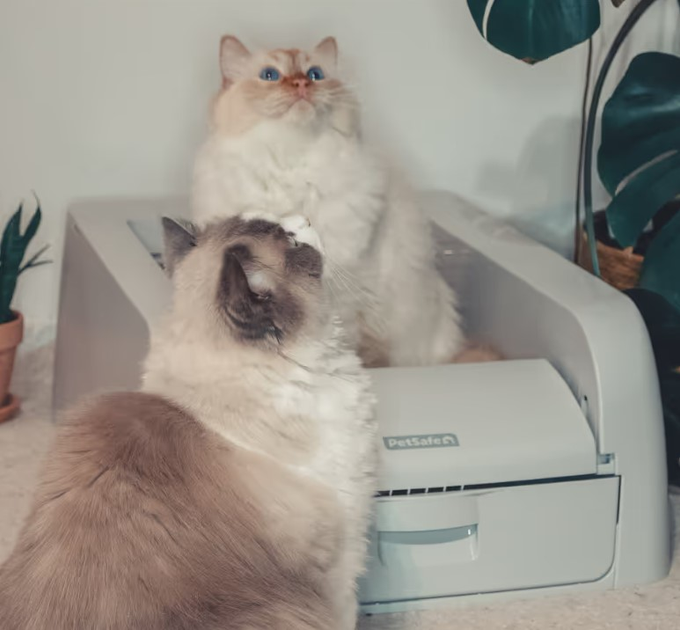 Автоматичний лоток для котів PetSafe ScoopFree Clumping Self-Cleaning Litter Box (0729849179929) - зображення 11