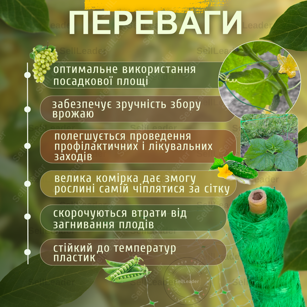 Сетка Bradas шпалерная 1,7х100м зеленая 15х17см для защиты винограда огурцов кабачков цветочная натяжная - изображение 2