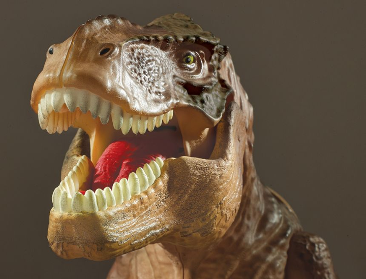 Projektor Brainstorm Toys T-Rex & Room Guard 40 cm (5060122731928) - obraz 5