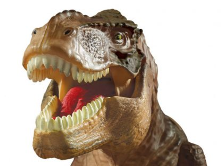 Projektor Brainstorm Toys T-Rex & Room Guard 40 cm (5060122731928) - obraz 3