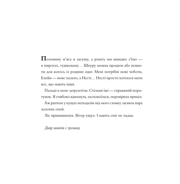 Двір шипів і троянд. Розмальовка - Фото 3 Двір шипів і троянд. Розмальовка - изображение 3
