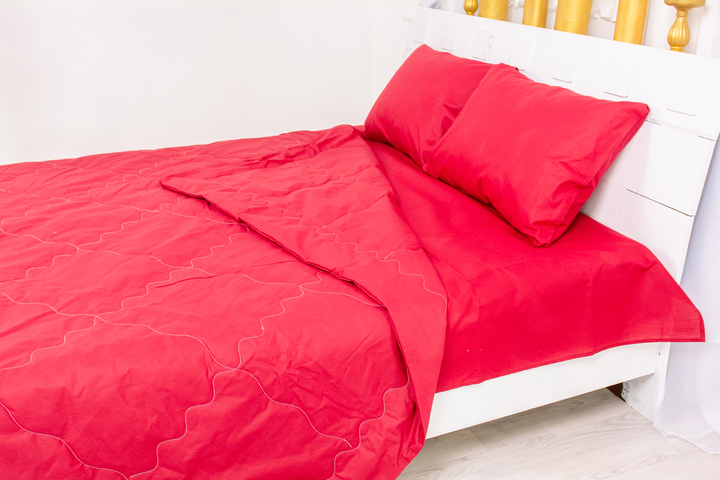 Літній постільний комплект MirSon №2497 Silk Kapok 19-1655 Edmonda ковдри 2 х 155х215 см + наволочки 2 х 50х70 см + простирадло 220x240 см від Rozetka на платформі USKIDKA Акція на Літній постільний комплект MirSon №2497 Silk Kapok 19-1655 Edmonda ковдри 2 х 155х215 см + наволочки 2 х 50х70 см + простирадло 220x240 см від Rozetka