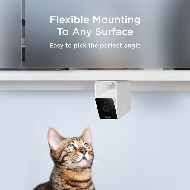 Камера для тварин внутрішня Petcube Cam WiFi 1080p (0854592007394) - зображення 11
