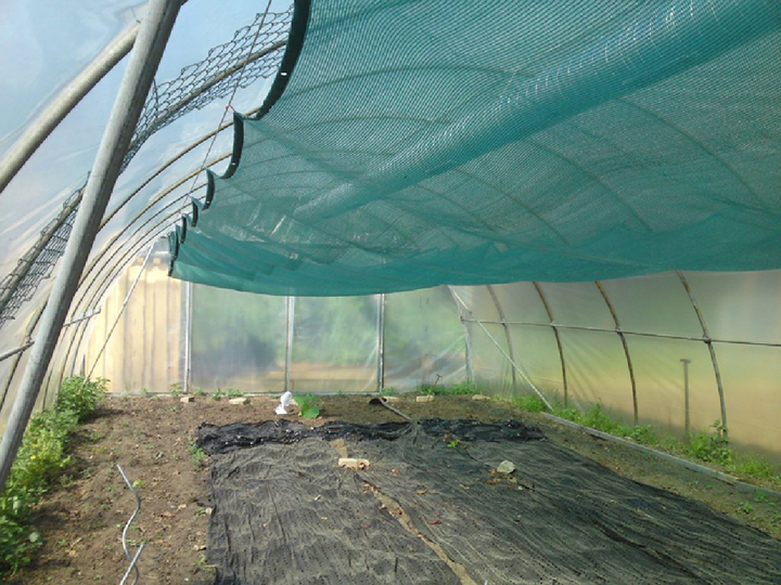 Сітка затіняюча Agreen 60% 12x50м. - зображення 4