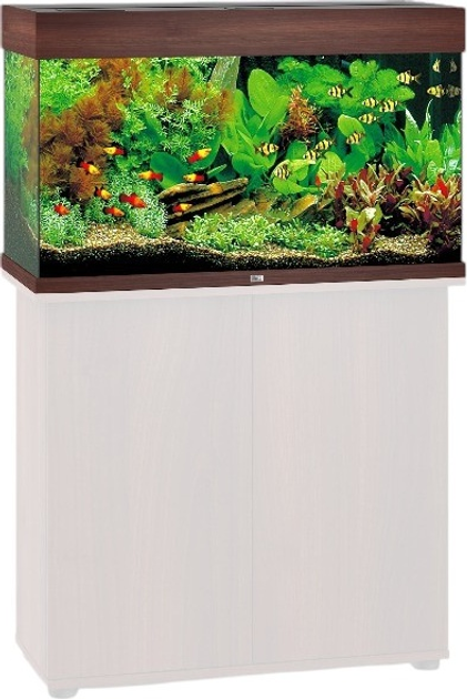 Zestaw akwariowy Juwel Rio 125 LED Dark Wood (4022573017502) - obraz 3