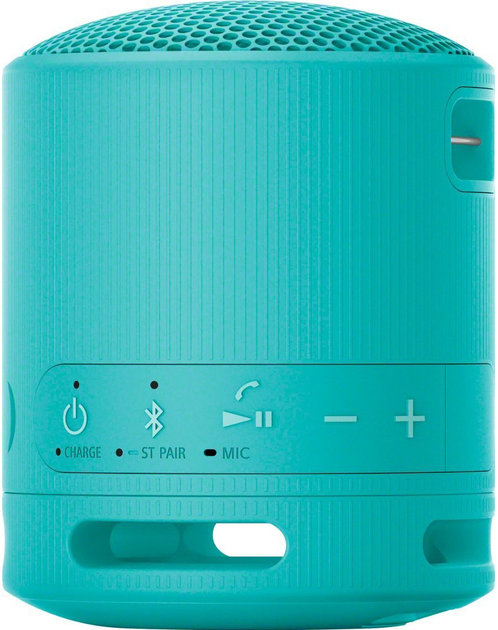 Głośnik przenośny Sony SRS-XB100 Blue (SRSXB100L.CE7) - obraz 2