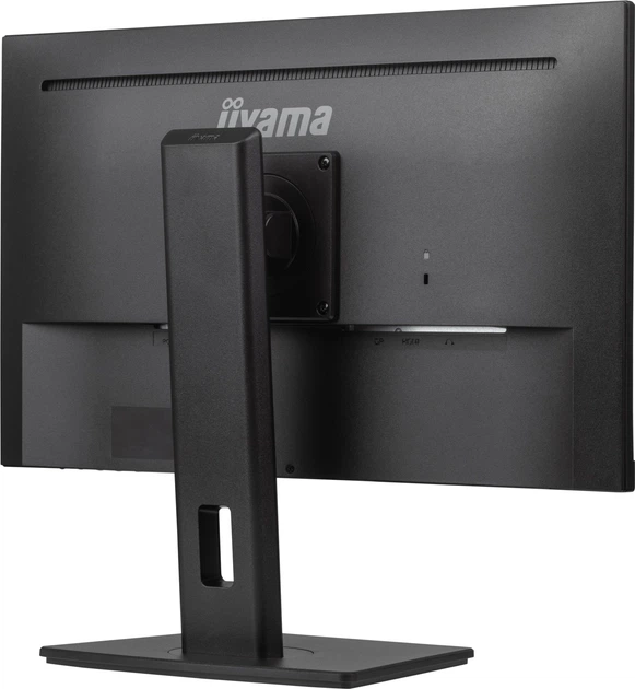 Monitor 23.8" Iiyama ProLite XUB2491H-B1 (4948570124763) - obraz 6