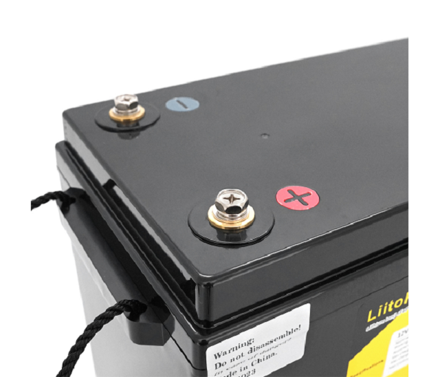 Аккумулятор LiitoKala XSL-12.8V300Ah - изображение 3