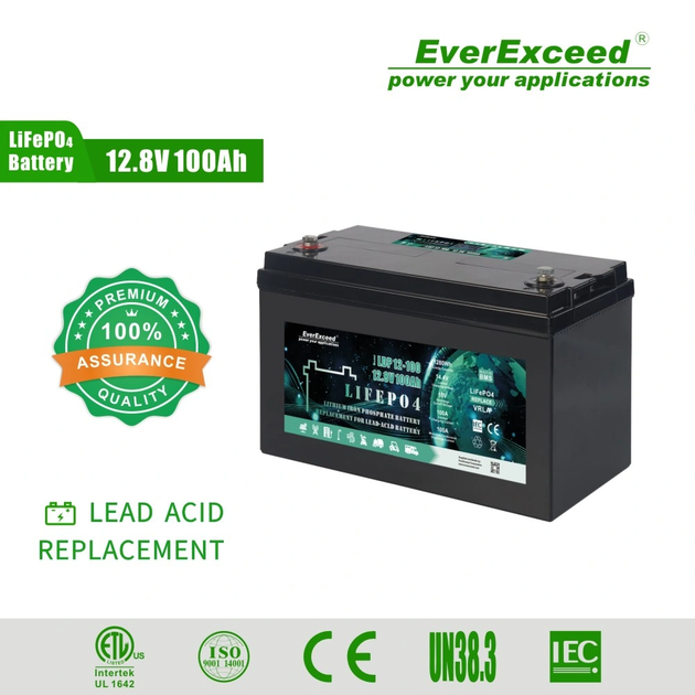 Акумулятор EverExceed LDP12-100 (12.8V100Ah) - зображення 7