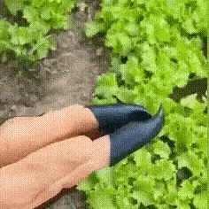 Садові рукавички з 4 кігтями Garden Genie Gloves, універсальний розмір - Фото 2 Садові рукавички з 4 кігтями Garden Genie Gloves, універсальний розмір - зображення 2