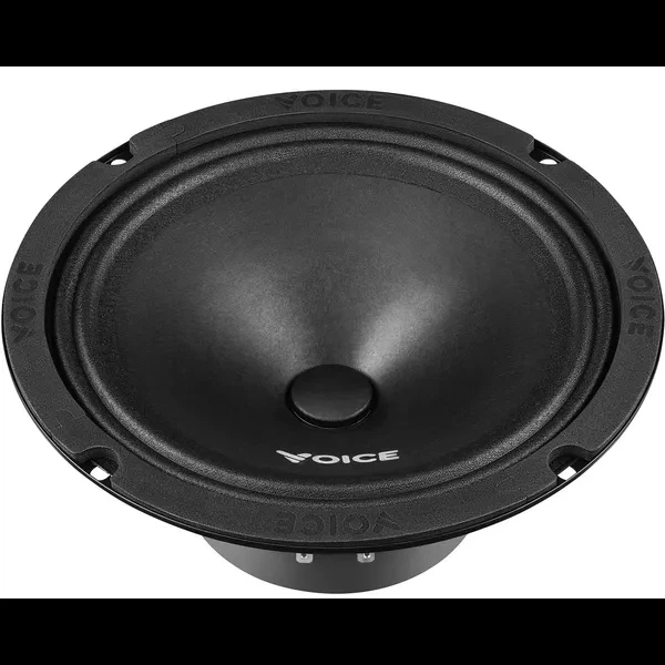 Эстрадная акустика Voice ST-200 - изображение 4