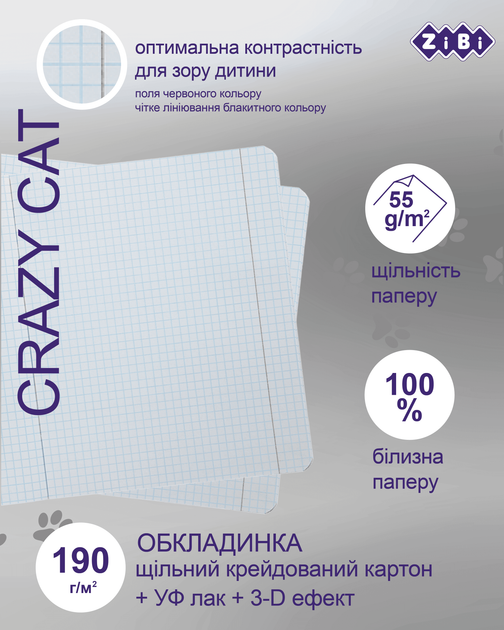Набір предметних зошитів ZiBi Crazy Cat 48 аркушів у клітинку 8