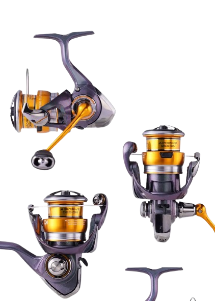 Катушка Daiwa 24 REGAL CS LT 2000S 9+1BB 5.2:1 (мелкая шпуля),00090932 - изображение 2