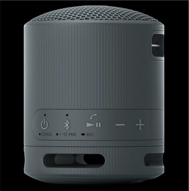 Портативна акустика блютуз колонка Sony SRS-XB100 - зображення 2