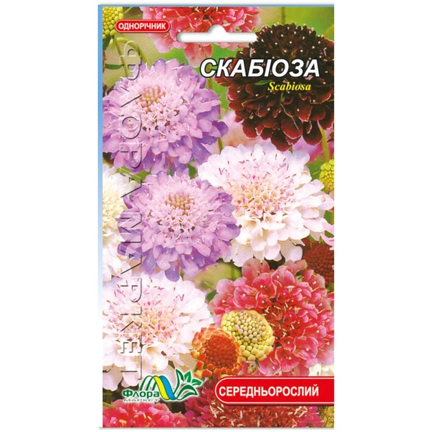 Семена скабиоза разные цвета однолетник среднерослый 1 г - Фото 2 Семена скабиоза разные цвета однолетник среднерослый 1 г - изображение 2