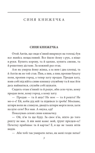 Камінний хрест - Василь Стефаник (9789660395657) - зображення 3