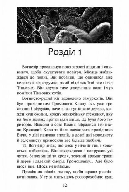 Коти-вояки. Шлях Вогнезора - Ерін Гантер (9786177385454) - Фото 3 Коти-вояки. Шлях Вогнезора - Ерін Гантер (9786177385454) - изображение 3