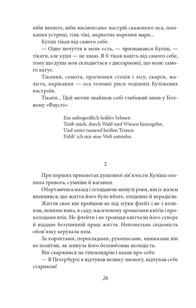 Романи Куліша - Віктор Домонтович (9786175512500) - зображення 8