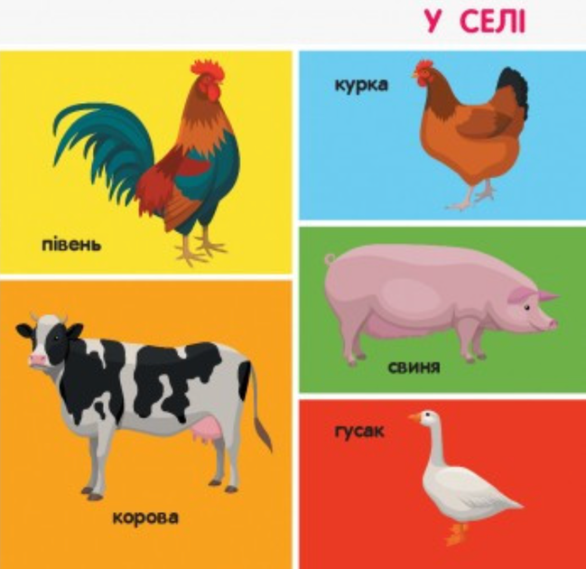 Смарт-книги. 100 тварин - Катерина Трофимова (9786170952967) - Фото 8 Смарт-книги. 100 тварин - Катерина Трофимова (9786170952967) - изображение 8