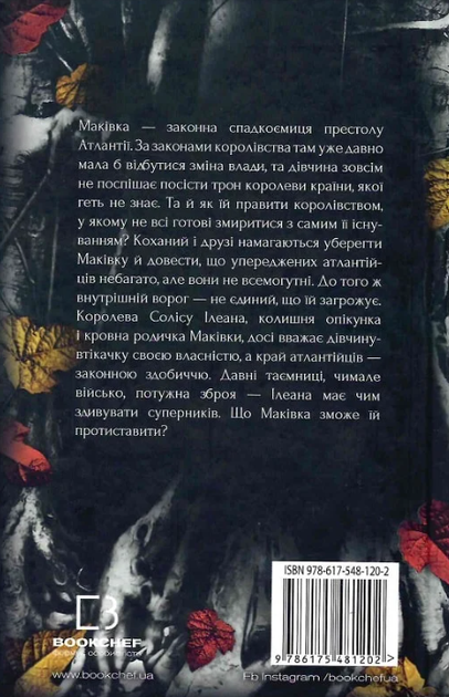 Кров і попіл. Корона з позолочених кісток. Книга 3 - Дженніфер Л. Арментраут (9786175481202) - зображення 2