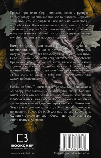 Плоть і вогонь. Світло у пломені. Книга 2 - Дженніфер Л. Арментраут (9786175482438) - зображення 2